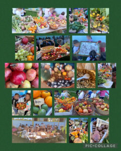 Festa Autunno 2023 2